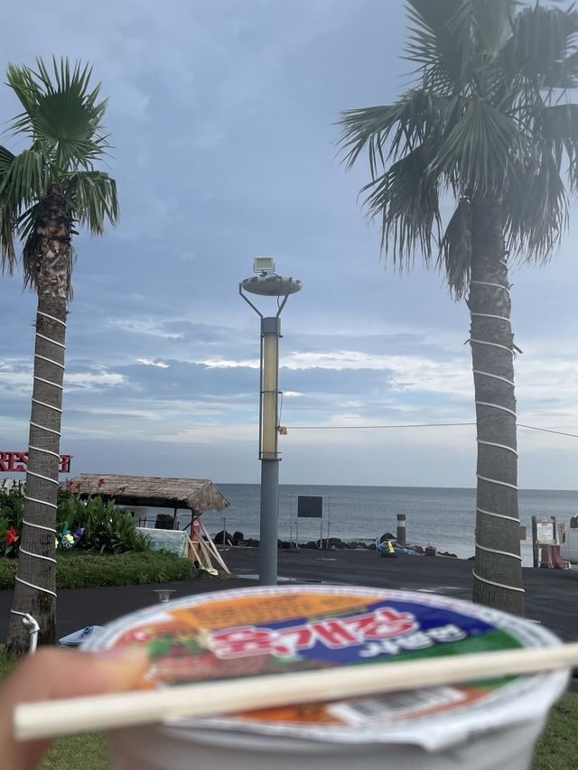 제주 천연 수영장, 판포포구💙