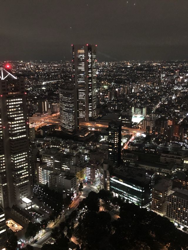 【東京】無料で夜景を楽しめるスポット