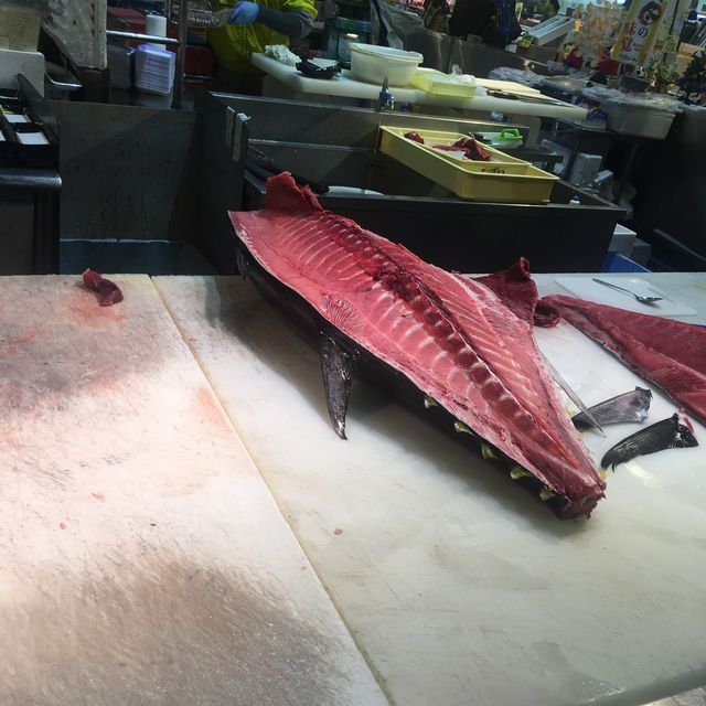 🍣 看鮪魚的解體秀 — とれとれ市場 (Tore Tore Market)