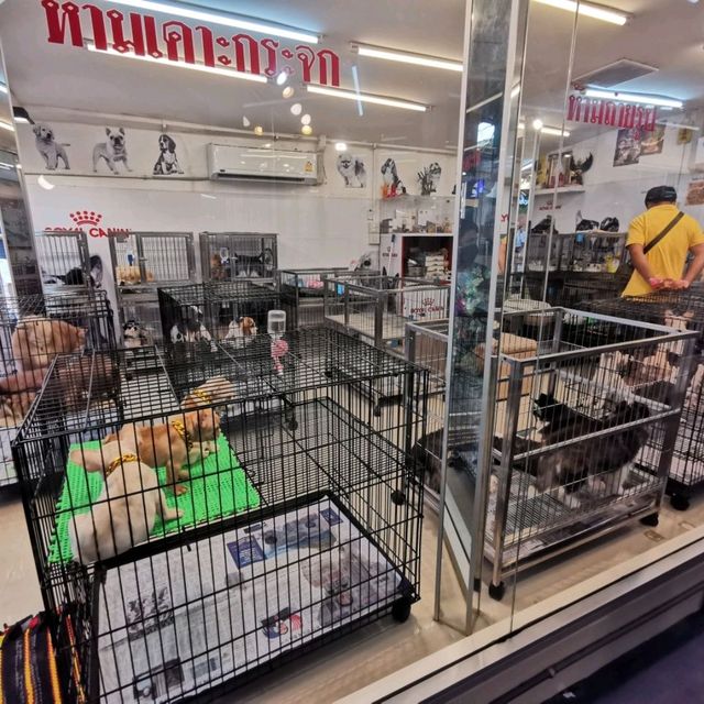 JJ Pet Market

