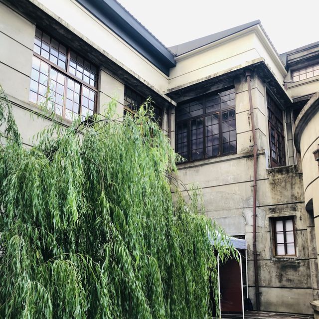 綠意盎然🌳🌿松山文創園區 Songshan Cultural and Creative Park