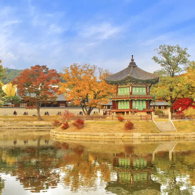 서울 아름다운 가을 단풍 명소, 경복궁 향원정🍁