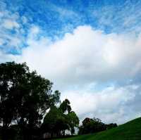 The Scenic Views Of Macritchie Reservoir