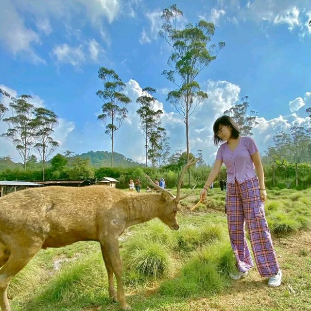 Kampung Cai Ranca Upas 