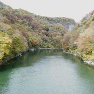 🍁Autumn leaves are the best‼️🍁Hiroshima・Sandankyo🍁