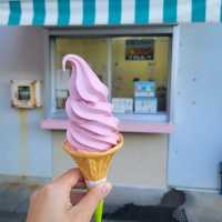 【奄美大島】まほろば館