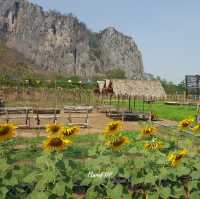🌻 Woodhouse เขาฉกรรจ์ จ.สระแก้ว 🌻