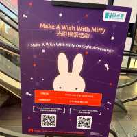 Make A Wish With Miffy