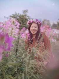 ถ่ายรูปที่ไร่ฟอร์ดข้างหอศิลปะวัฒนธรรมมช.