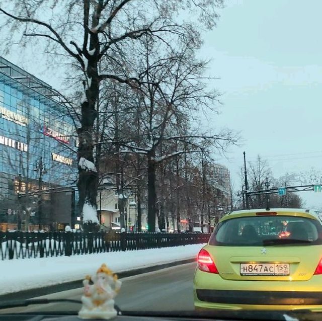 beautiful winter 