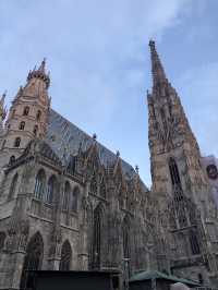 When in Vienna… 