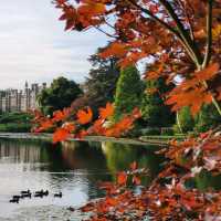 Sheffield Park with beautiful red leaves 