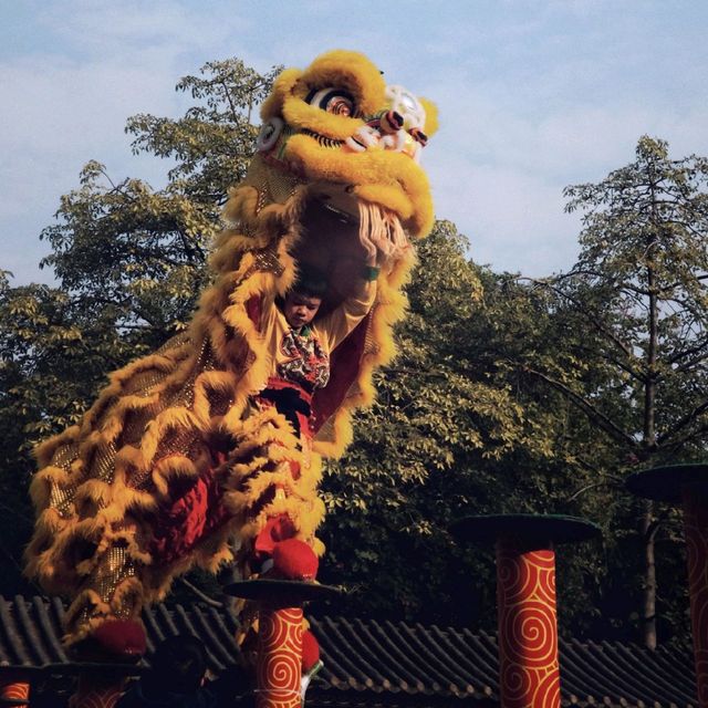 Dragon Dance in Foshan