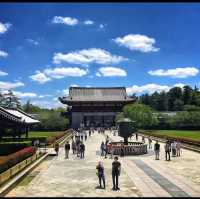 Todai Ji Temple - Nara 