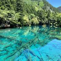 The beauty of Jiuzhaigou