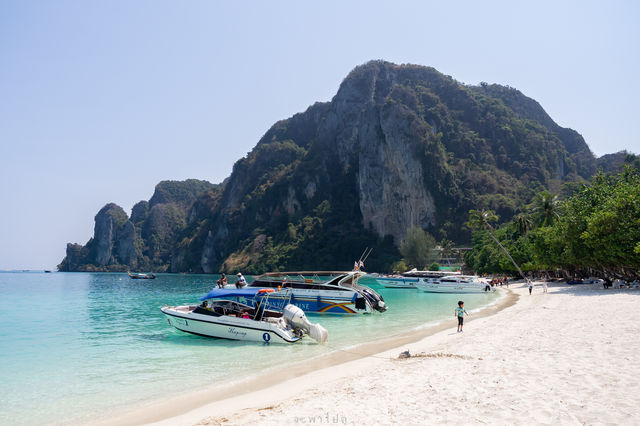 ปิเละลากูน | Phi Phi Island 