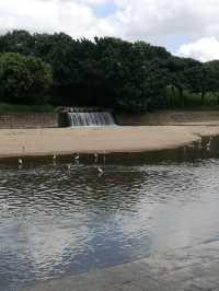 Nature walk along the Longhua river