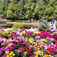 The Flower Path Garden Ruqin Lake Jiangxi