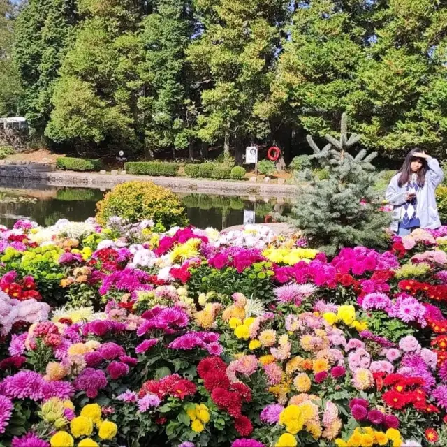 The Flower Path Garden Ruqin Lake Jiangxi