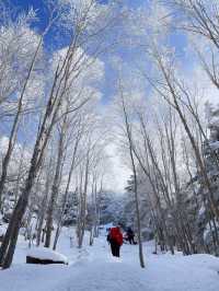 Climbed to the summit of Mount Ryoukou in Japan, one of the 100 famous mountains, during the severe winter season.