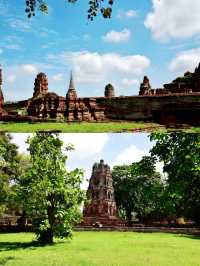 The tree embracing Buddha's head, one of the seven wonders of Thailand.