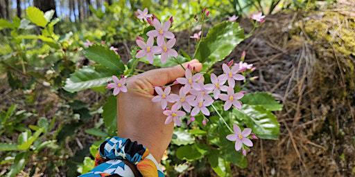 Reimagining Our Connection To Nature | Johnston Terrace Garden
