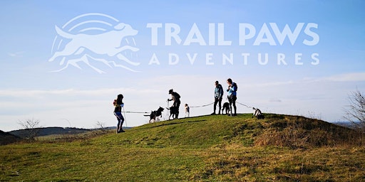 Improver Canicross Skills | Therfield Heath, Baldock Road, Royston, UK