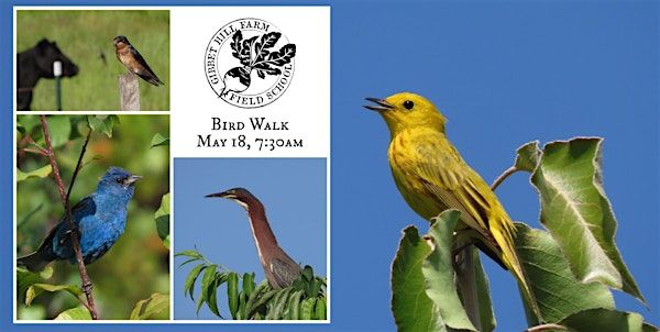 Gibbet Hill Farm Bird Walk - May 18 | Gibbet Hill Grill