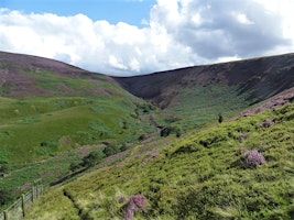 Peak District walk: Doctor's Gate, Longdendale Trail, Torside Clough (22 m) | Partington Theatre
