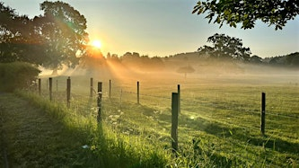 Yoga Retreat in the Eden Valley – Nature, Connection + Community | Mains Farm