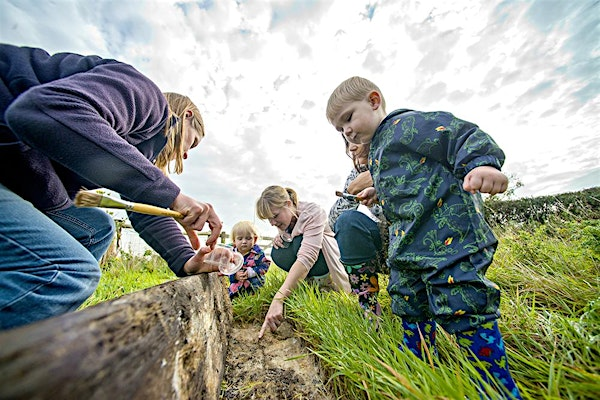 Wild Families: Bug Bonanza (ECC 2511) | Carlton Marshes Nature Reserve & Visitor Centre
