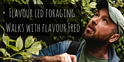 Flavour-Led Foraging Walk, Wild Food at The Grange Hampshire | The Grange Hampshire