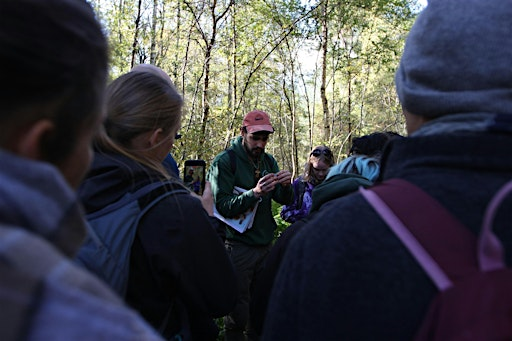 Wild Mushrooms Foraging Course | Mushroom foraging course in Dinnet