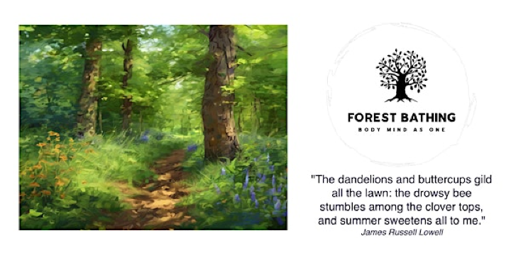 Summer Forest Bathing | Private Woodland