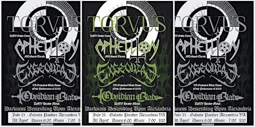LIVE MUSIC: Darkness Descending Upon Alexandria | Galactic Panther Art Gallery