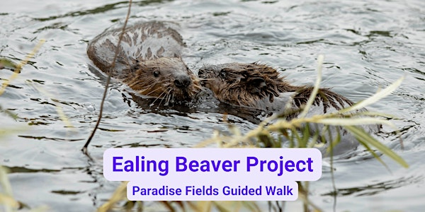 Ealing Beaver Project Guided Walk | Ealing Beaver Project - Walk and Safari meeting point