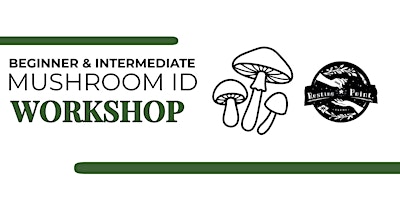 Beginner & Intermediate Mushroom Identification | Asheville Tool Library