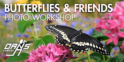 Butterfly Photography Workshop - afternoon session | Dan's Camera City