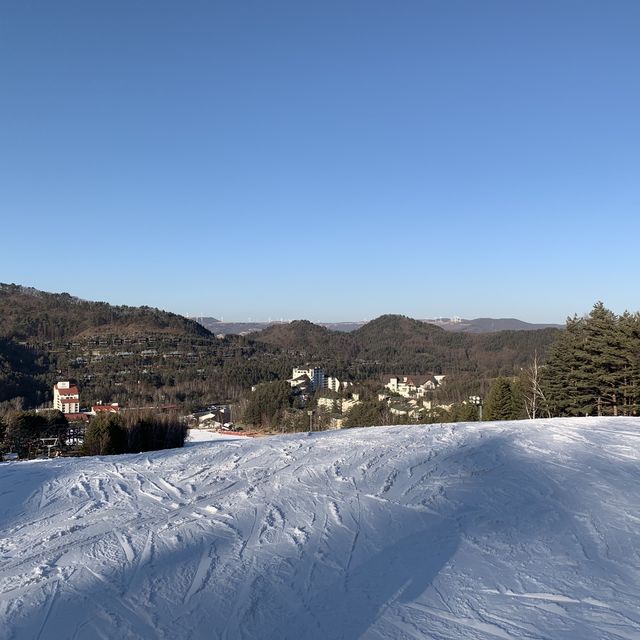 친구랑 버스타고 용평리조트 스키장