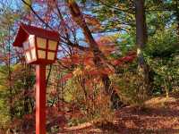 新倉富士浅間神社