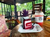 CERA GARDEN คาเฟ่ลับบรรยากาศป่าไม้ ชุมพร