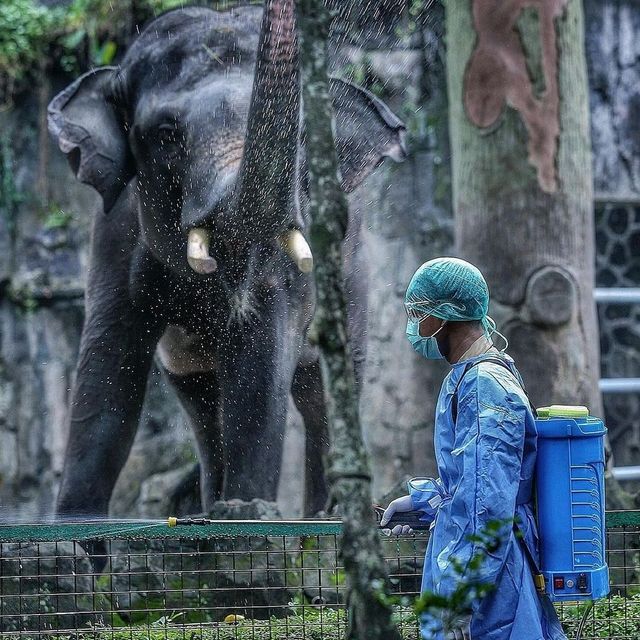 ZOO RAGUNAN