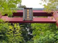 パワースポット　来宮神社
