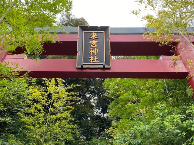 パワースポット　来宮神社
