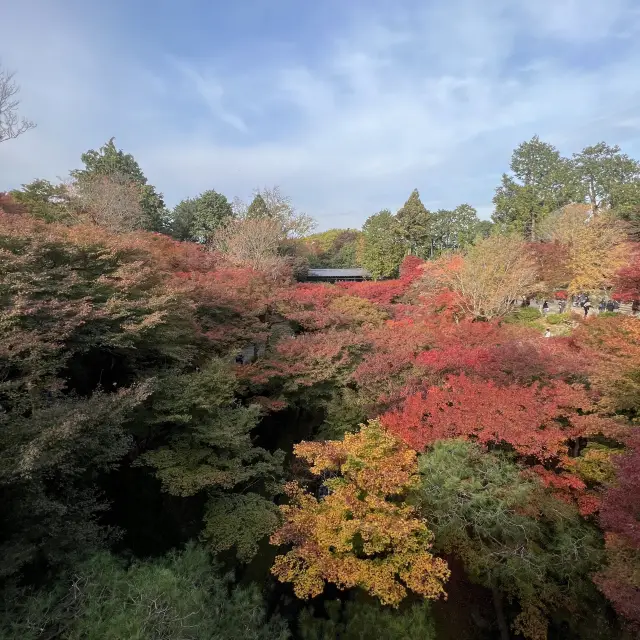 【京都】紅葉の名所　東福寺
