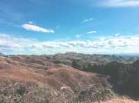The Best Hike in Hawkes Bay!