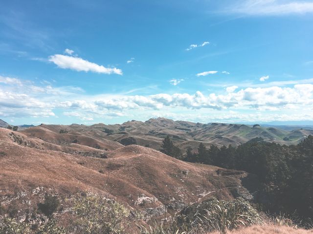 The Best Hike in Hawkes Bay!
