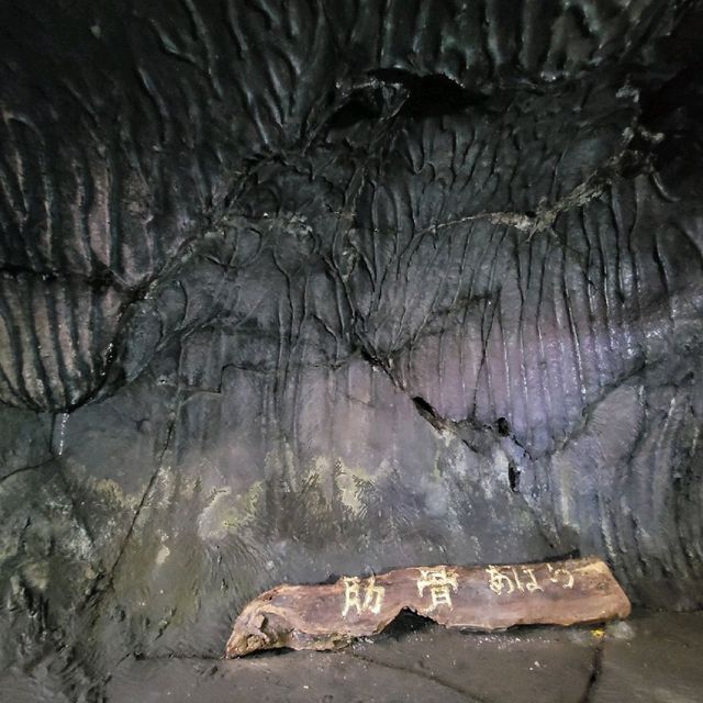 【山梨】富士山のお腹に入れる！洞窟～船津胎内樹型