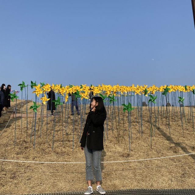 [파주] 알록달록한 바람개비가 있는 ‘임진각’