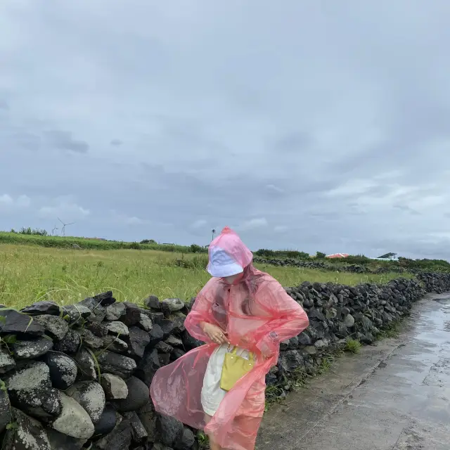 제주도 근교 가파도 당일치기 